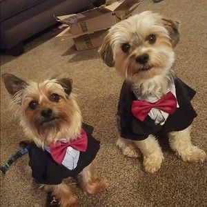 Meet your Posher, Kristin